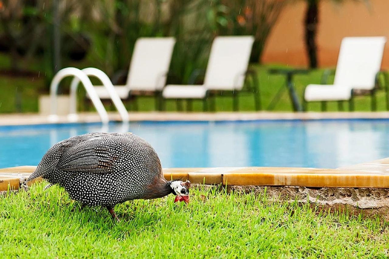 Vila Real Hotel Jaú エクステリア 写真
